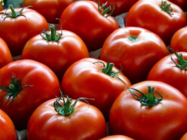 La cucina italiana: Zo rood als een tomaat