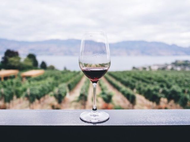 La cucina italiana: VINO NOVELLO