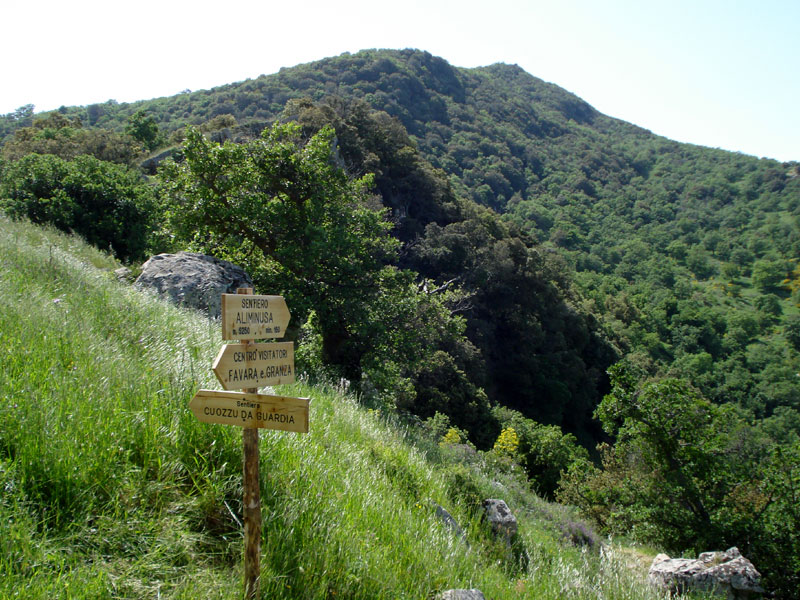Spectaculair Sicilië: Bosco di Favara e Bosco Granza