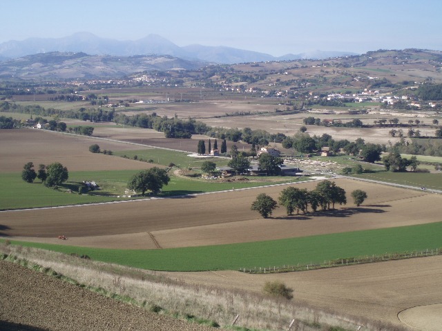 Archeologische site Suasa
