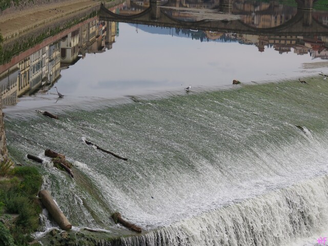 Arno Firenze Toscana