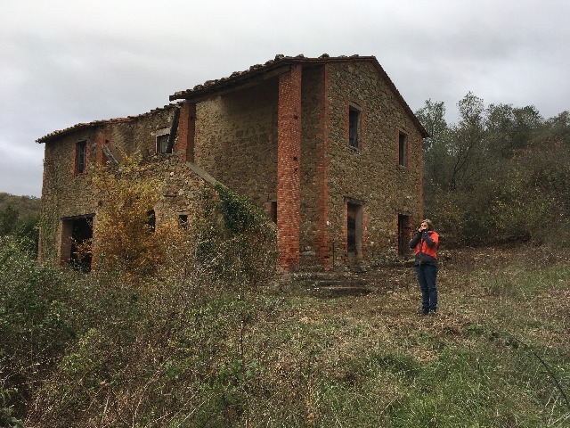 De ruïne in Mongiovino