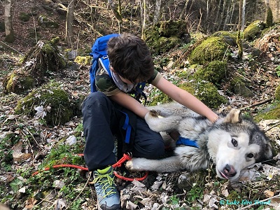 Hiken met husky's