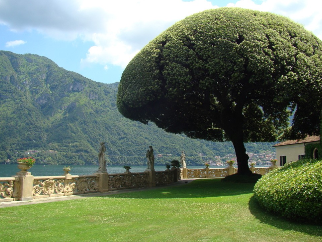De Leccio (Steeneik) in Italië