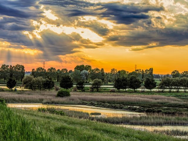 Het natuurgebied van de Po-delta
