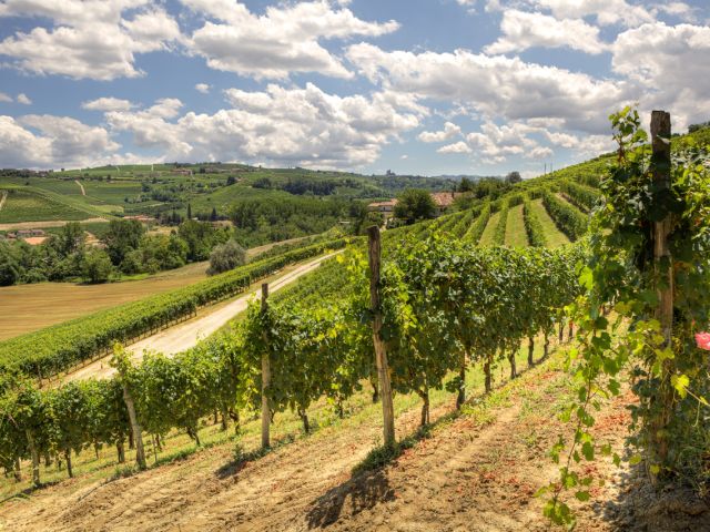 I miei artisti Piemontesi – mijn kunstenaars uit Piemonte