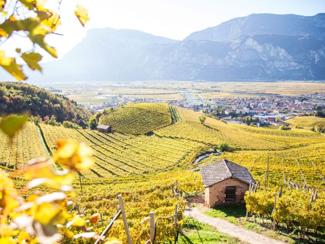 Bijzondere overnachtingen op wijngaarden in Trentino