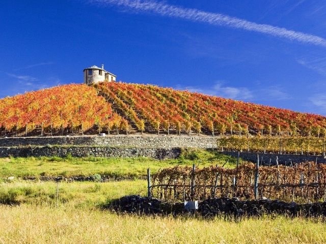 Wijn per regio 2: Valle D’Aosta