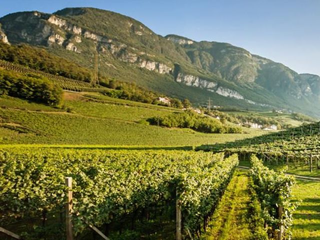 Wijn per regio 20: Sardegna