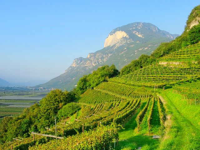 Wijn per regio 6: Trentino – Alto Adige