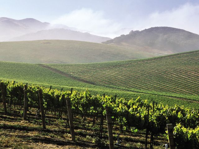Wijn per regio 10: Umbria