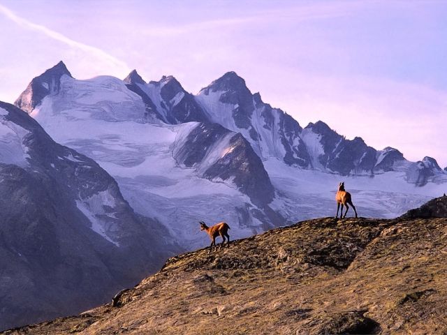 Taalbad: Val D’Aosta en de Alpen