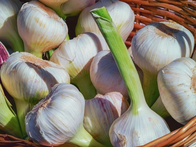 Smaakmakers uit de Italiaanse keuken (5): KNOFLOOK • AGLIO