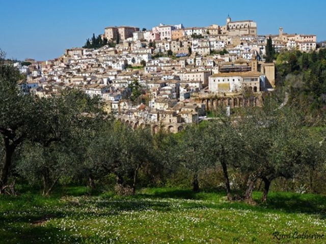 Cibo Italiano (20): Olio di Oliva di Loreto Aprutino