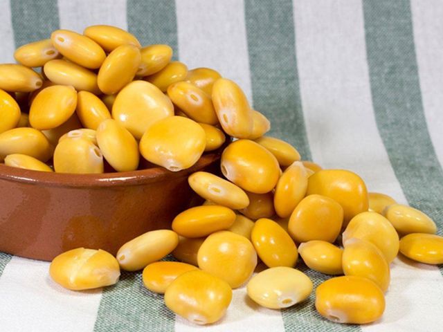 Cibo Italiano (17): Lupini