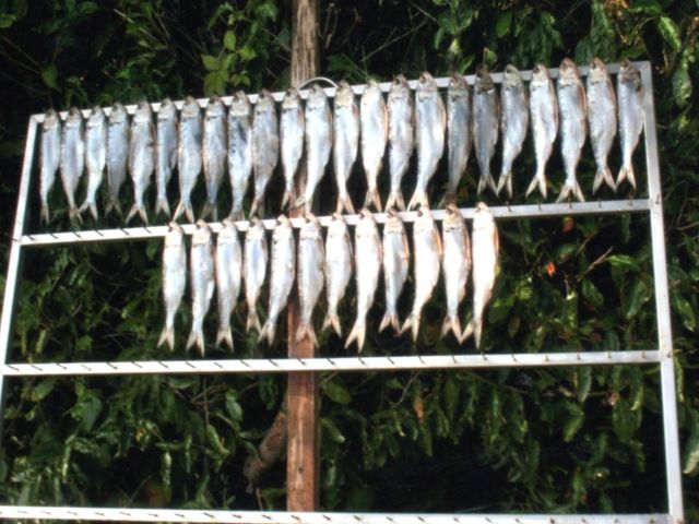 Mythen en sagen rond het Comomeer (43): De Missoltini