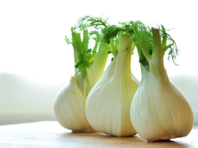 Smaakmakers uit de Italiaanse keuken (15): VENKEL • FINOCCHIO