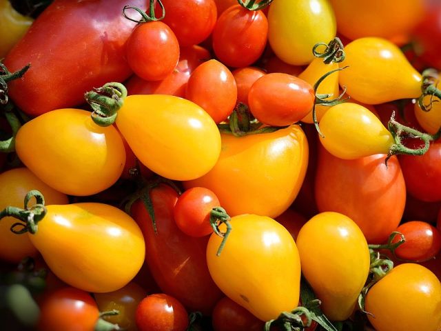 Wist je dat – lo sapevate? 22: Tomaten komen niet uit Italië