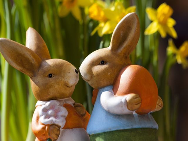 Natale con i tuoi, Pasqua con chi vuoi