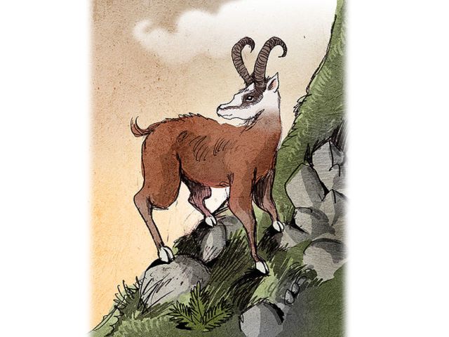 Legendes uit het Valchiavenna (26): De dau