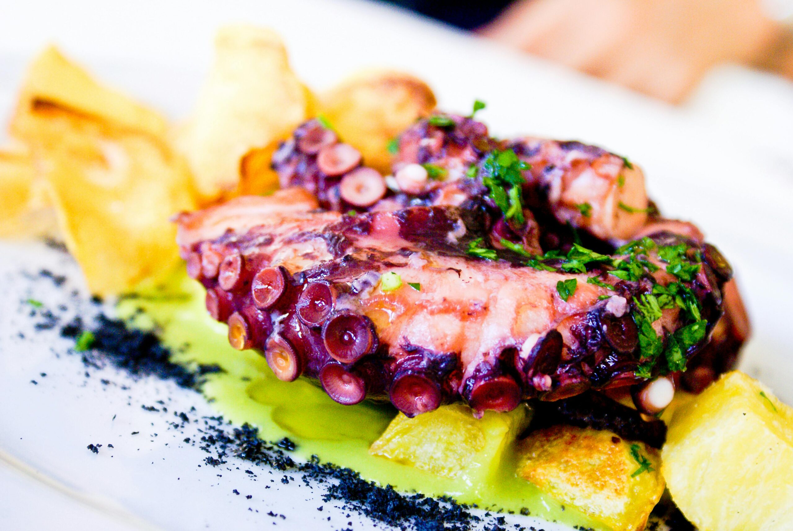 La cucina italiana: OCTOPUS’ GARDEN
