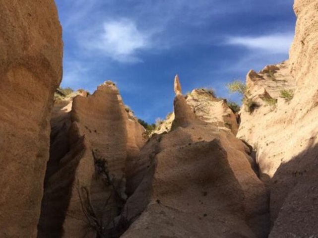 Merkwaardige Marken: Lame Rosse, het rode wonder
