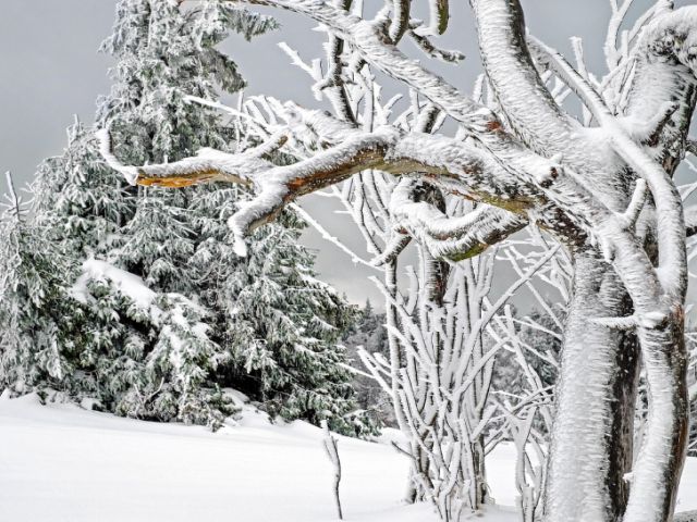 Legendes uit het Valtellina (86): De winter van de zware sneeuw