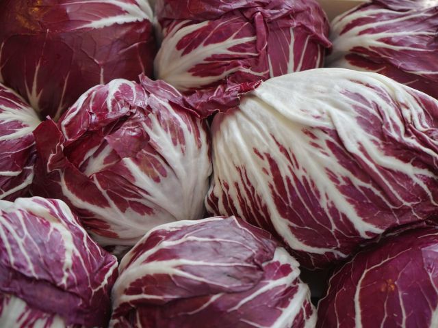 La cucina italiana: Radicchio, de Italiaan van de witloof-roodloof familie