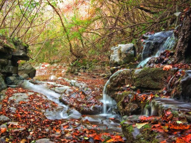 Legendes uit het Valtellina (106): De Donna selvatica en de Steen van vruchtbaarheid